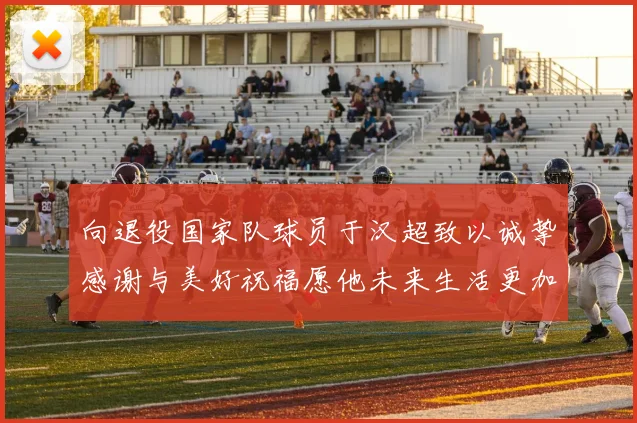 向退役国家队球员于汉超致以诚挚感谢与美好祝福愿他未来生活更加精彩